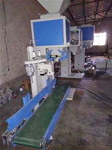 全自動食品顆粒稱重定量包裝機 精準高效，助力現代食品工業