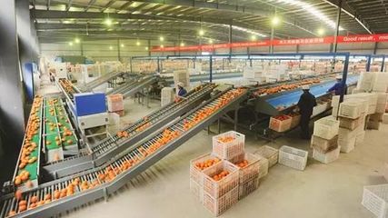 2019年初級農產品加工可申報補貼項目梳理