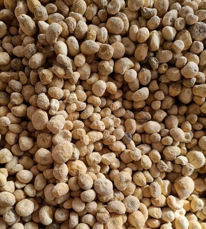 天然本草，健康之選 慶騰堂藥業(yè)精選無(wú)硫楮實(shí)子