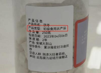 親情、金錢與邊界 當(dāng)“不孝”背后另有隱情